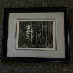 1958 - ASPENS.     Chino, ca