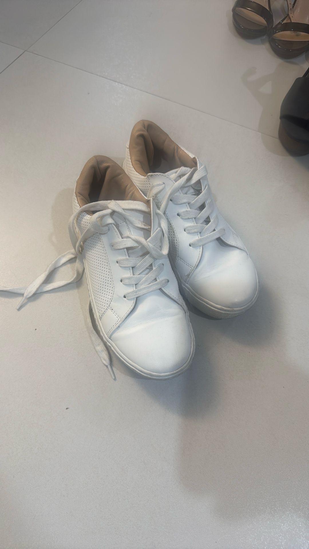 Women’s Sneaker Sz7 