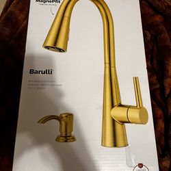 Barulli Single Handle Pull Down Sprayer Kitchen Faucet with Deckplate Included and Soap Dispenser included