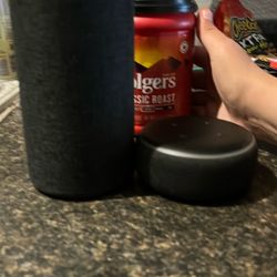 Alexa Speakers