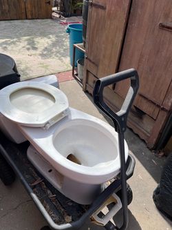Free toilet