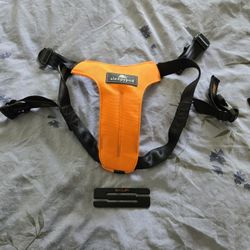 Sleepypod Clickit Sport dog safety harness for your car.