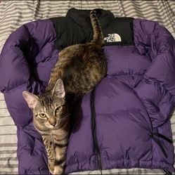 The North Face Jacket 700