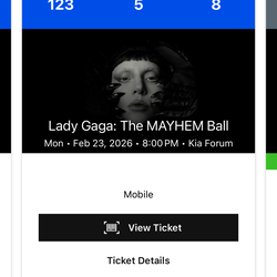 Lady Gaga ticket