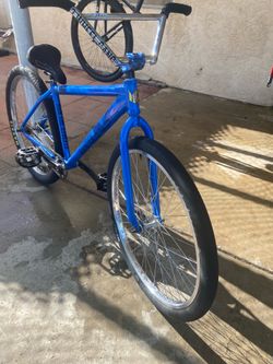 Blue mastro 29er