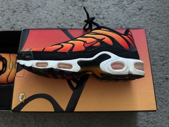 Nike air max plus OG anniversary