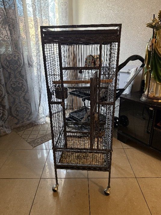Bird Cage