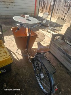 Carrier bike