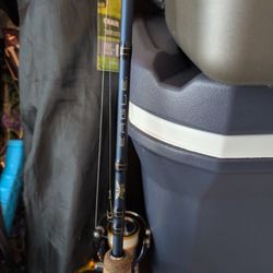 Fenwick Fishing Rod And Daiwa Spinning Reel