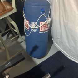 Everlast Punching Bag 