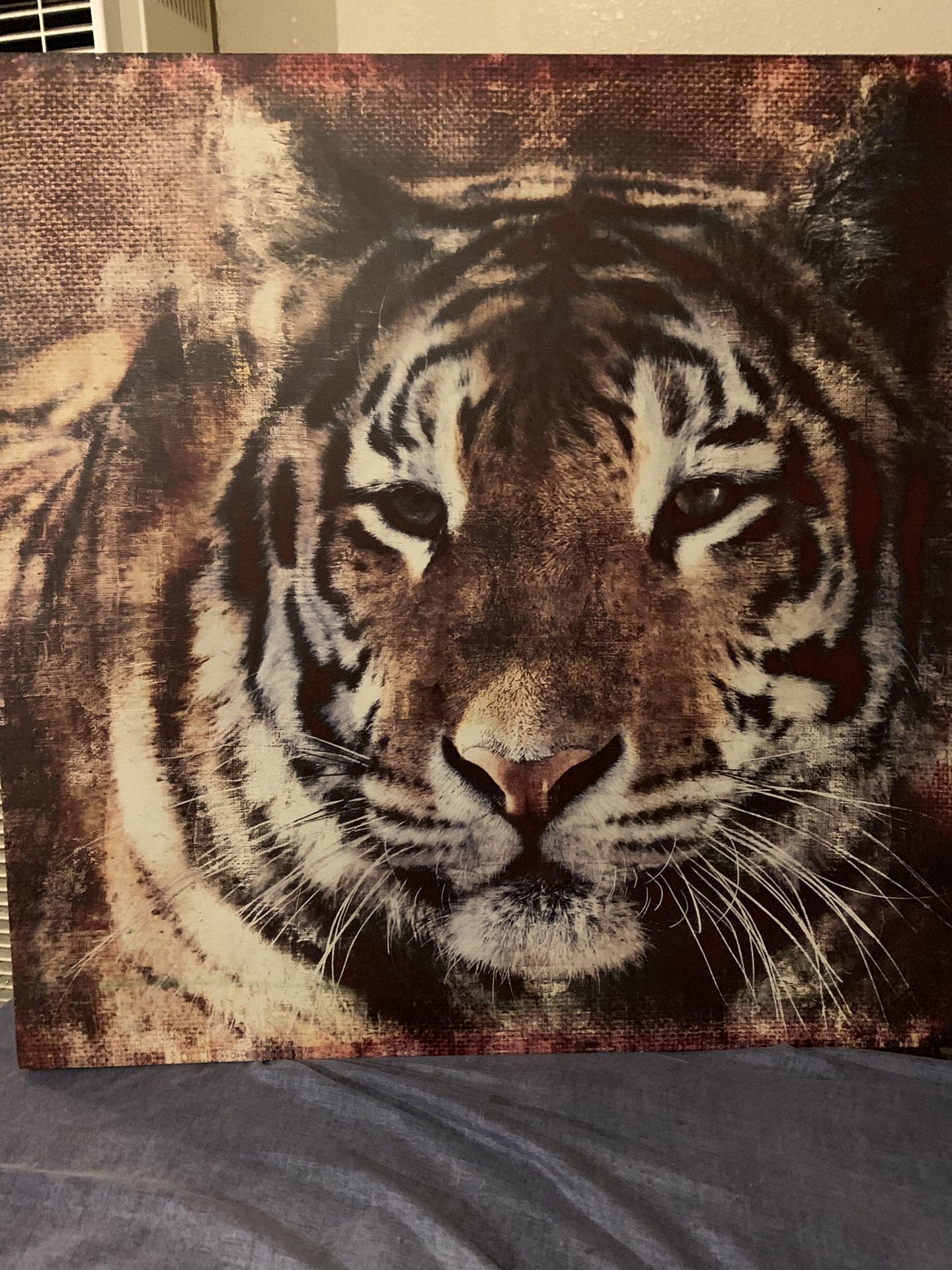 Tiger wall pictures