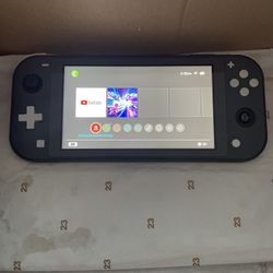 Nintendo Switch Lite And Nintendo Control