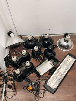 Reptile Dome fixtures