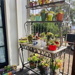 Succulents! The Gift That Keeps Giving And Giving. I Have Many Homemade Succulent Arrangements ready now great Christmas presents