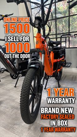 Family electric bike - cargo ebike