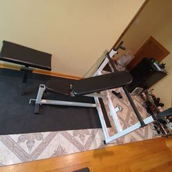 Parabody Inclinable Bench Press