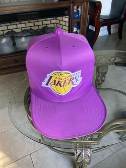 Lakers cat/ dog house