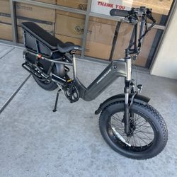 Electric Bike E-bike