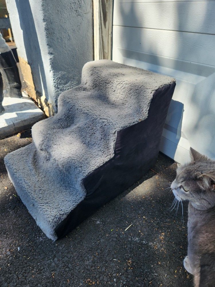 Pet Steps