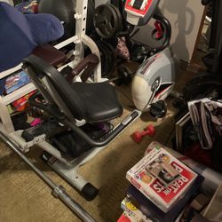 Schwinn Perimeter Weighted Fly Wheel