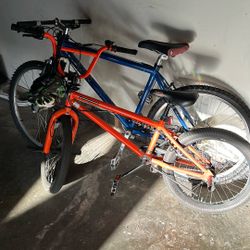 Bicicleta