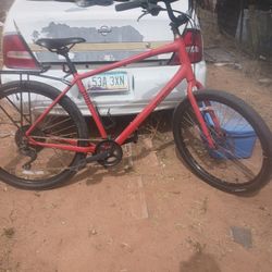 Specialized 3.0 Xl Bike 