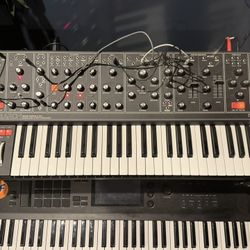 Moog Matriarch $2500