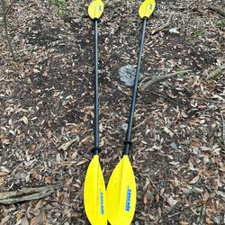 Pair of Kayak paddles
