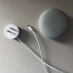 Google Nest Mini Speaker
