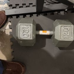 Single 120 Pound Dumbbell 