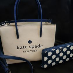 Kate Spade Handbag 