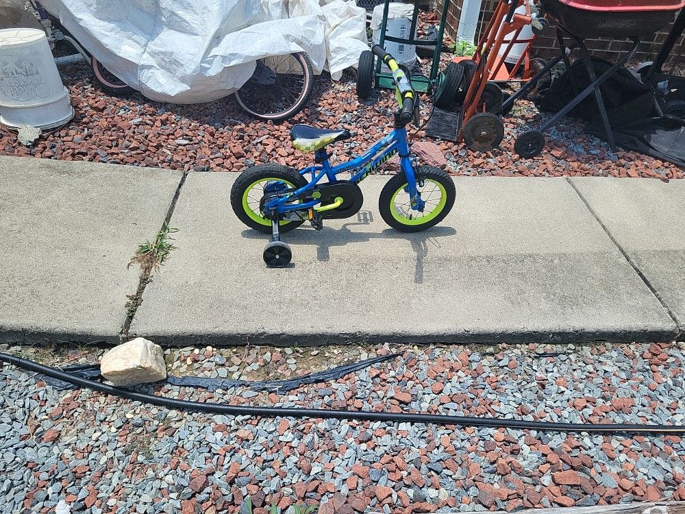12" Valve Schwinn