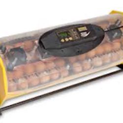 Incubator Brisnea 40