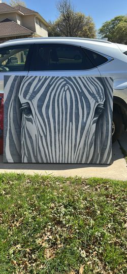 Zebra Picture