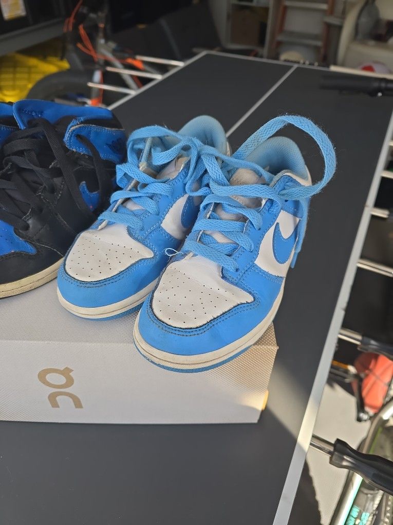 Nike Dunk Lows & Jordans 1