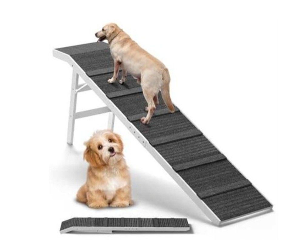 Folding Dod Ramp