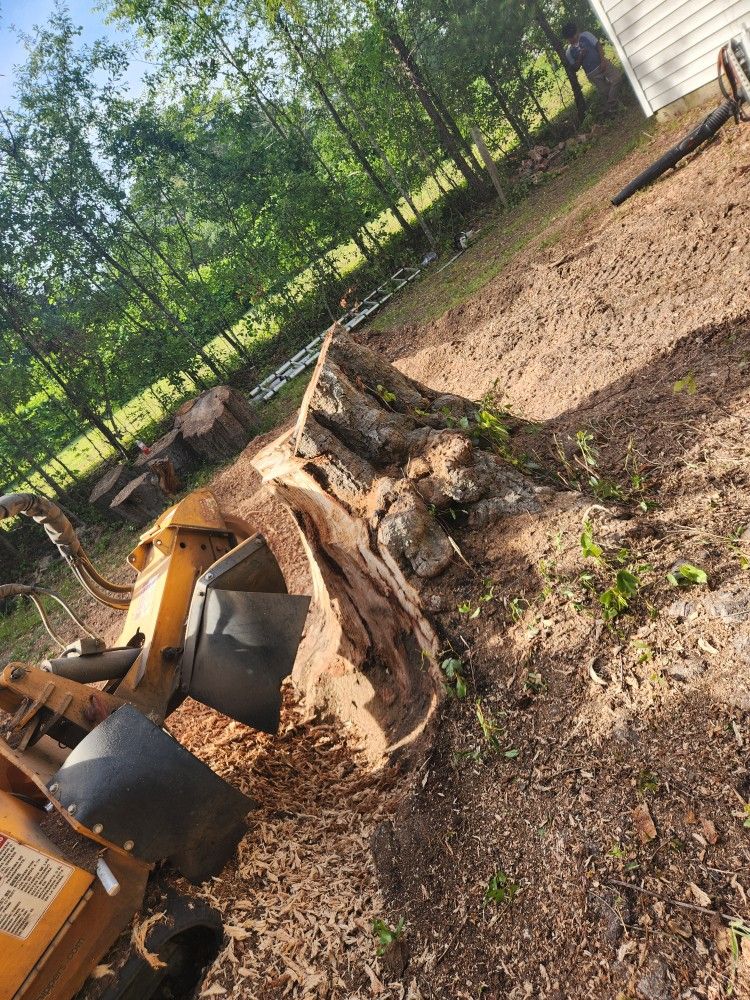 Land Stump Grinder