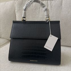 Modern Picnic Large Luncher