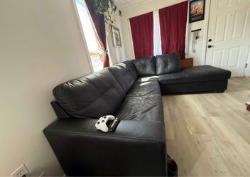 L shaped sectional couch