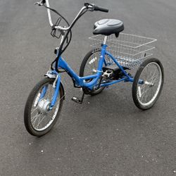 True Bicycle “Fold and Go” MANUAL  & ELECTRIC TRIKE - with 2 chargers 