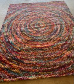 Multicolor Shag Area Rug