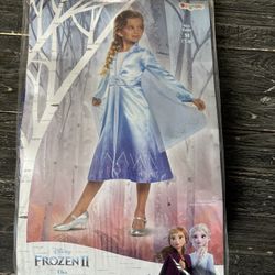 Halloween Costume- Frozen 2 Elsa
