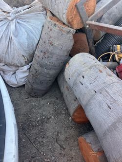 FREE PALM TREE TRUNKS WHITTIER LA HABRA FULLERTON