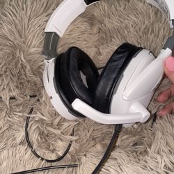 Turtle Beach