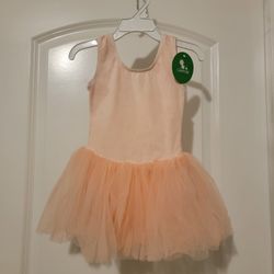 Ballerina / Tutu Dress