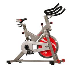 SUNNY SF-B1110S Indoor Stationary Cycling Bike, Silver