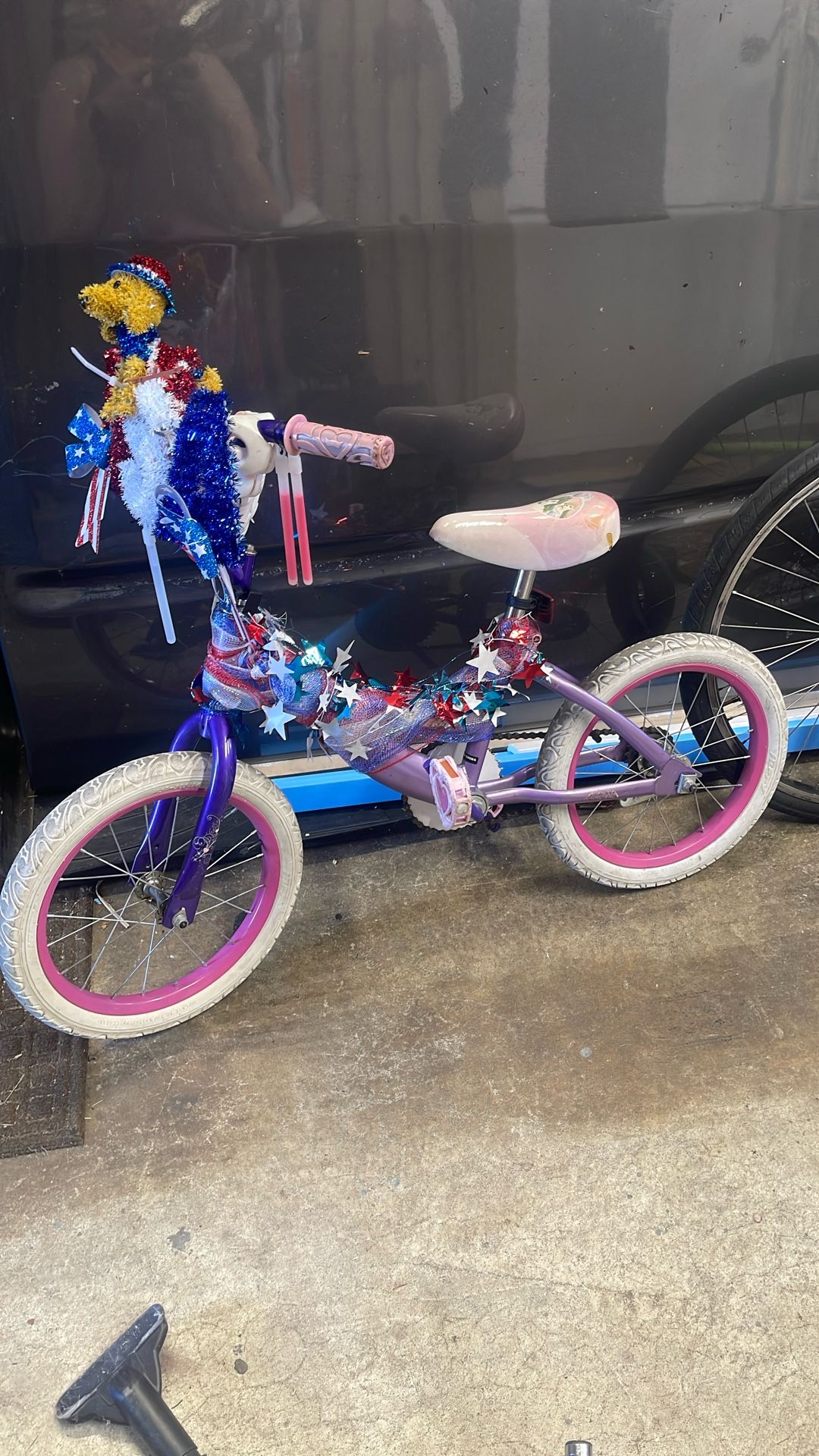 Princess Little Girls Bike
