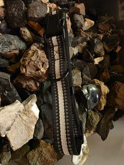 Dog Collar For Big Dogs And Dog Seat Belt 