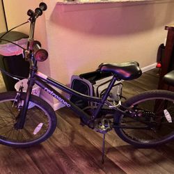 Bicycle For Sale WITH PEGS