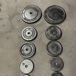 Weight Plates.             85 Dollars 